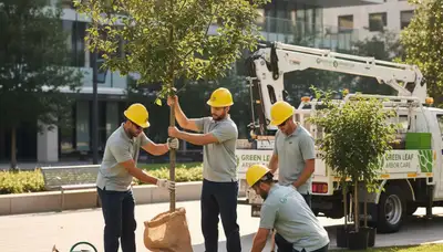 Arborist planting young tree in Harrisburg, PA for professional tree installation service